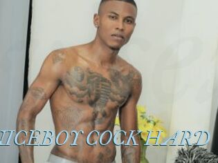 ARON_NICEBOY_COCK_HARD