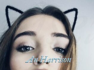 An_Harrison