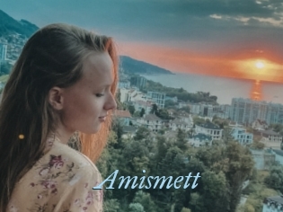 Amismett