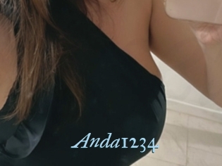 Anda1234