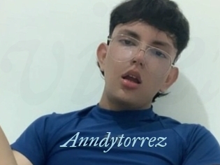 Anndytorrez