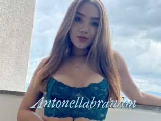 Antonellabrandm