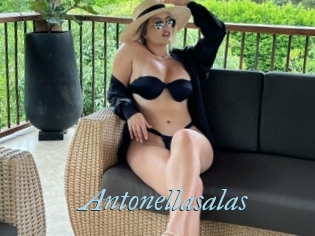 Antonellasalas