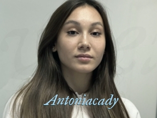 Antoniacady