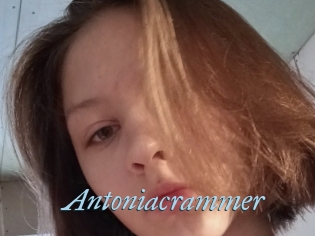 Antoniacrammer