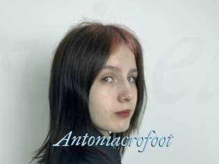 Antoniacrofoot