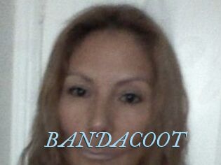 BANDACOOT