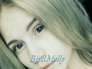 BirdMolly