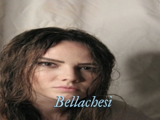 Bellachesi