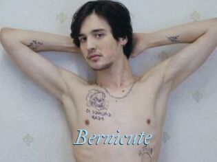 Bernicute