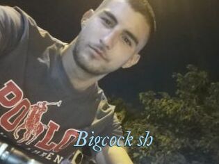 Bigcock_sh