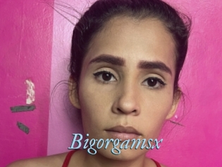 Bigorgamsx