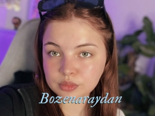 Bozenaraydan