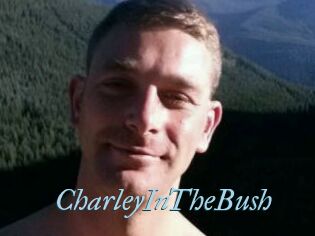 CharleyInTheBush