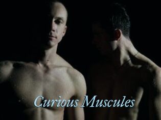 Curious_Muscules