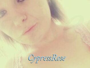 Cypress_Rose