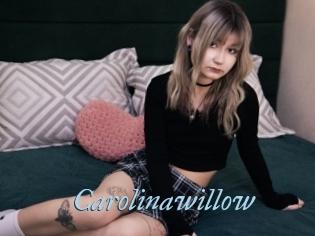 Carolinawillow