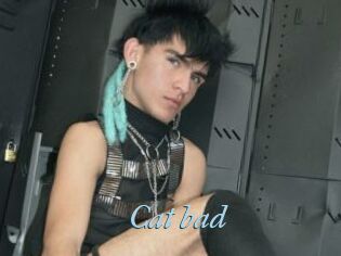 Cat_bad