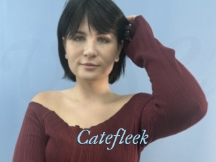 Catefleek