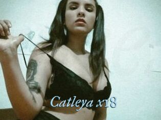 Catleya_x18