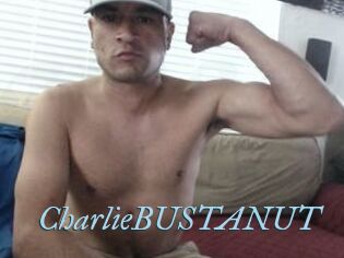 CharlieBUSTANUT