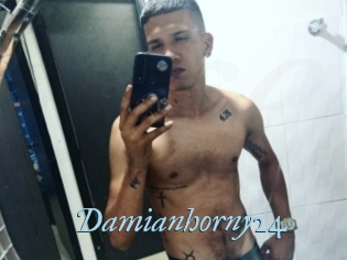 Damianhorny24