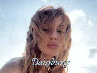 Daisyburge