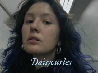 Daisycurles