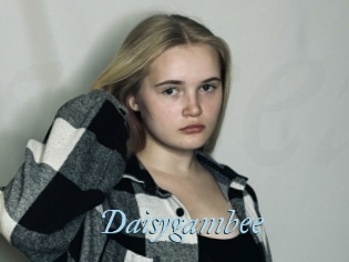 Daisygambee