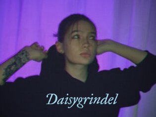 Daisygrindel