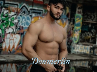 Donmerlin