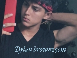 Dylan_brown15cm