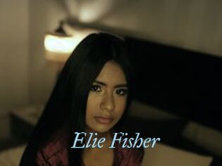 Elie_Fisher