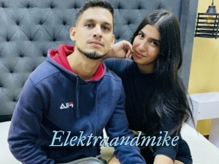 Elektraandmike