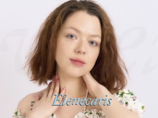 Elenecaris