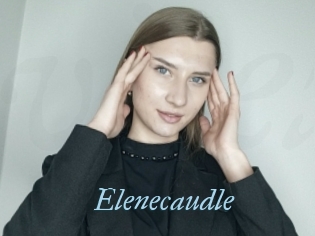 Elenecaudle