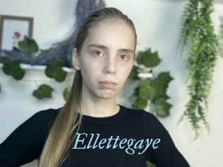 Ellettegaye