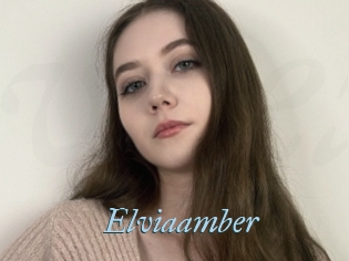 Elviaamber