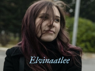 Elvinaatlee