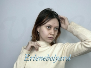 Erlenebolyard