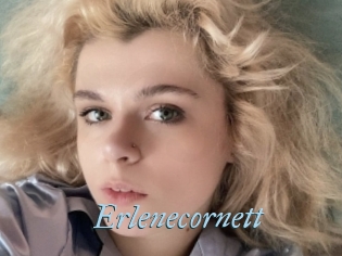 Erlenecornett