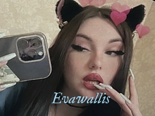 Evawallis