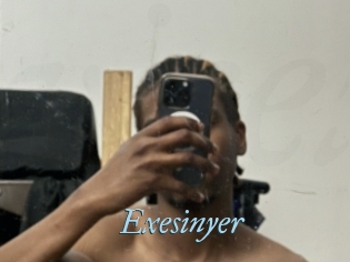 Exesinyer