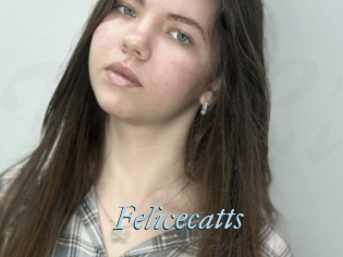 Felicecatts