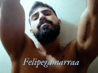 Felipegamarraa