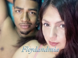 Floydandmia