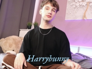 Harrybunny