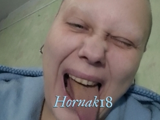 Hornak18