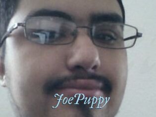 JoePuppy