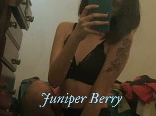 Juniper_Berry